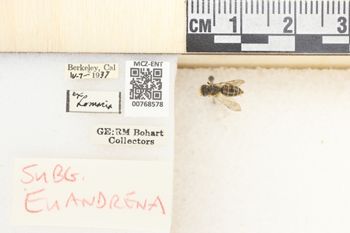Media type: image;   Entomology 768578 Aspect: Labels